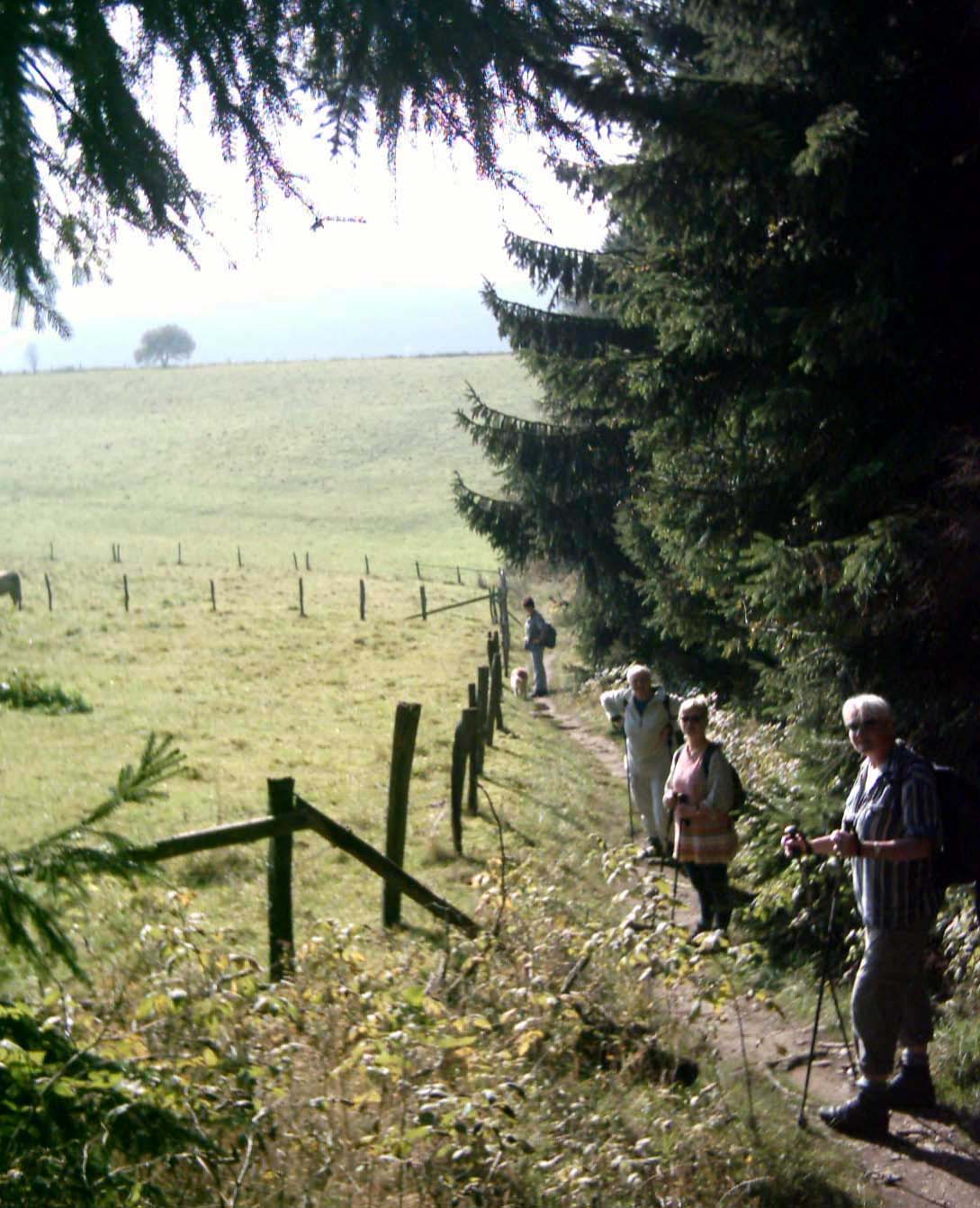 Herrlicher Wanderweg!